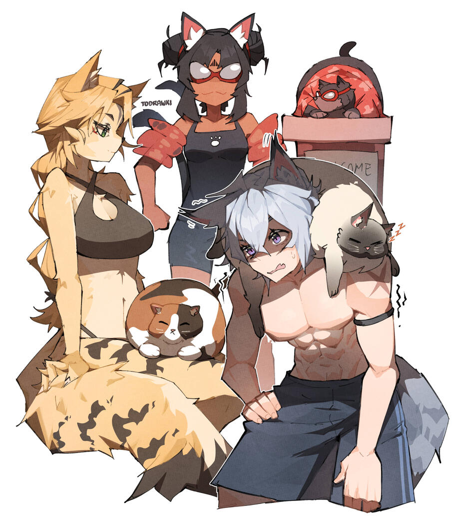 Zenless Zone Zero Cats